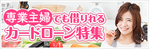 専業主婦でも借りれるカードローン