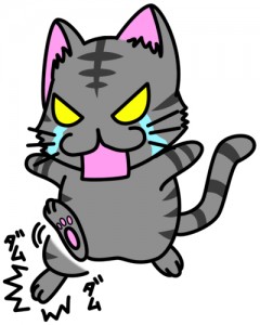 koukaisuruneko